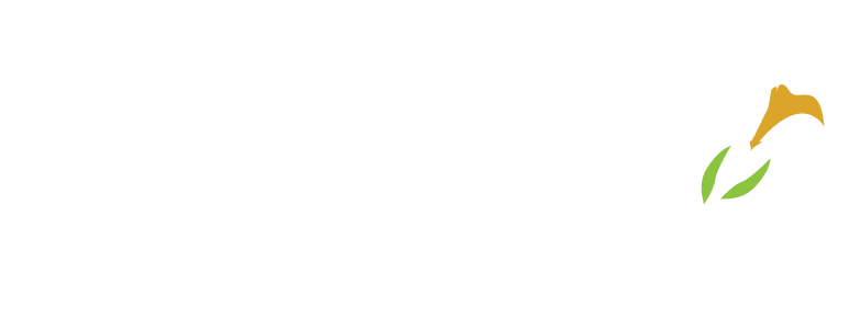 FauxReal Flowers - Charlotte